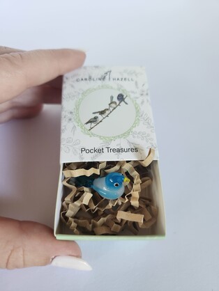 Pocket Treasures Fairy Wren