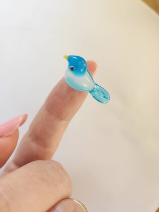 Pocket Treasures Fairy Wren