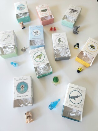 Pocket Treasures Fairy Wren