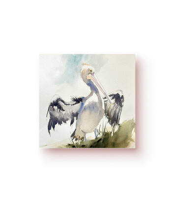 Pelican Greeting Card