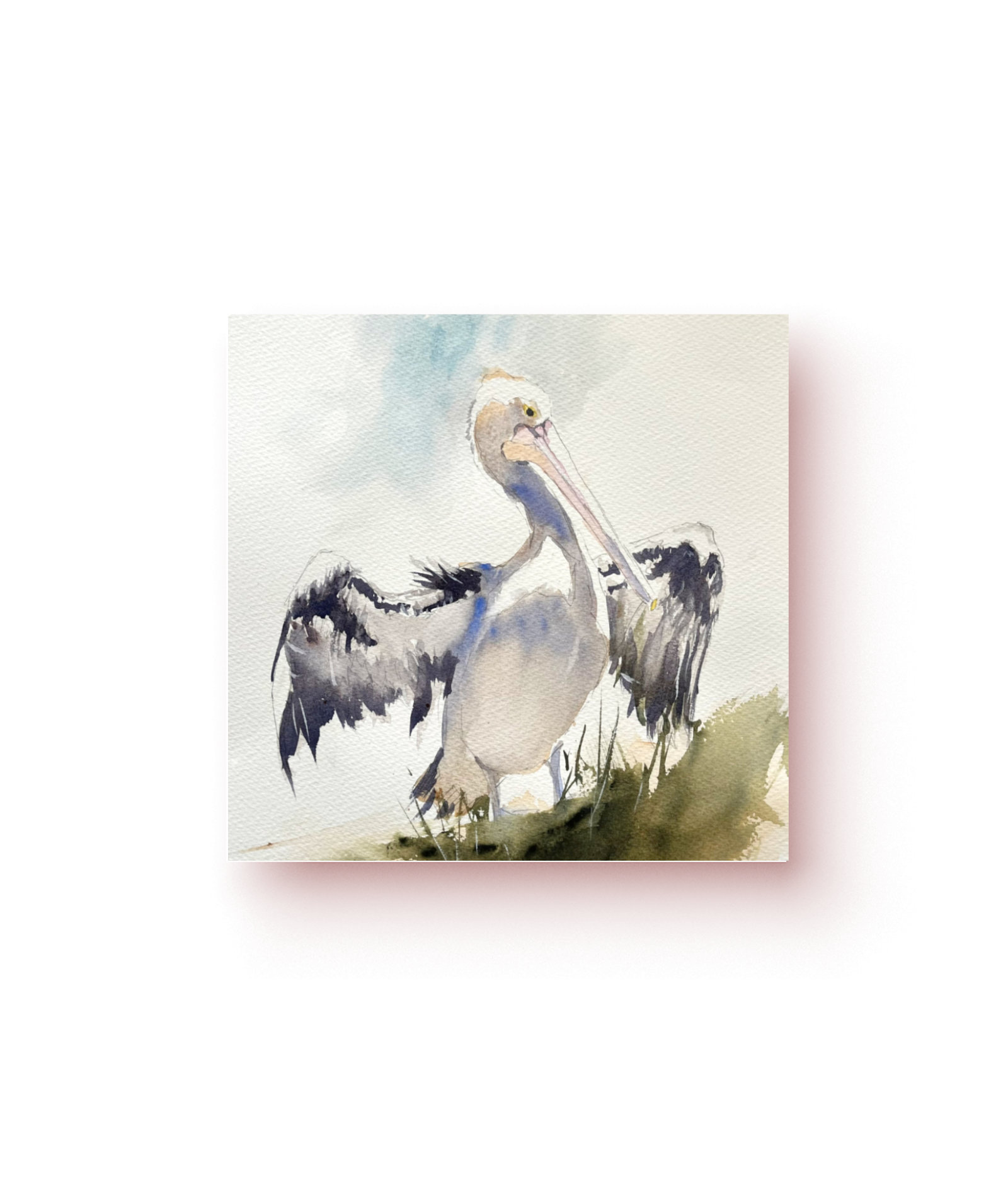 Pelican Greeting Card