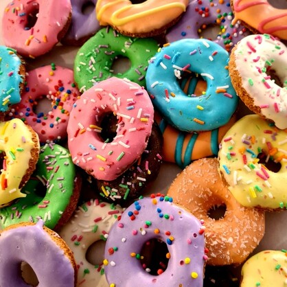 DOGGIE DONUTS - LITTLE | 6 PEICES