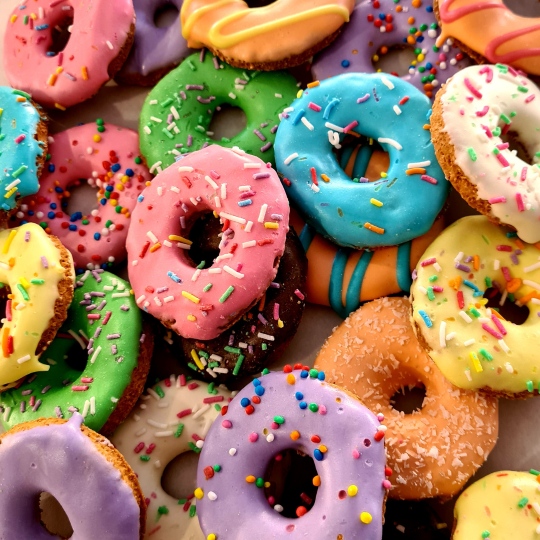 DOGGIE DONUTS - LITTLE | 6 PEICES