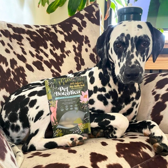 LITTLE AUSTRALIAN FISH PET TREATS