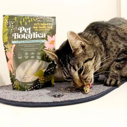 LITTLE AUSTRALIAN FISH PET TREATS