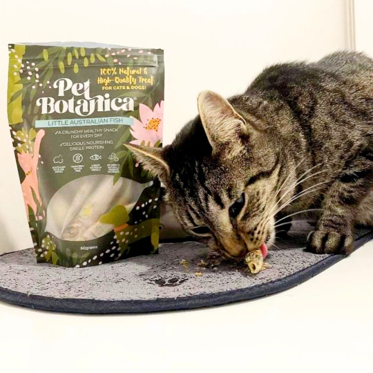 LITTLE AUSTRALIAN FISH PET TREATS