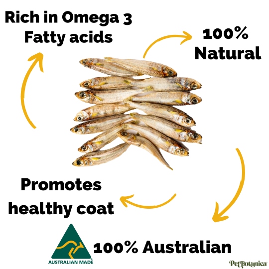 LITTLE AUSTRALIAN FISH PET TREATS