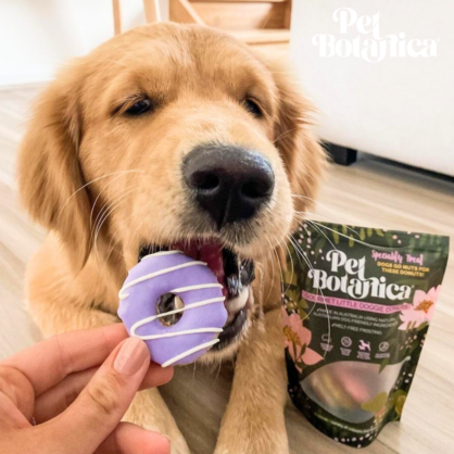 DOGGIE DONUTS - LARGE | 5 PEICES