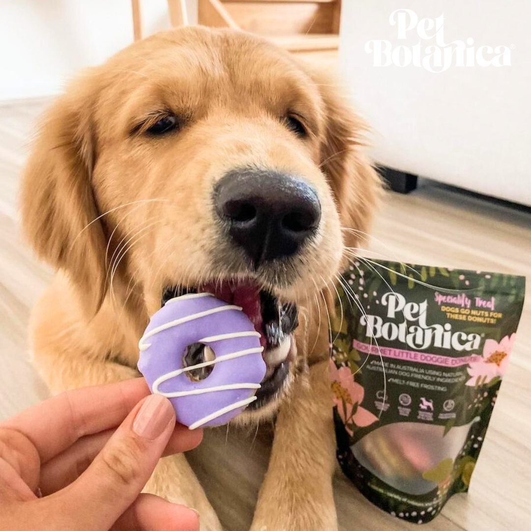 DOGGIE DONUTS - LARGE | 5 PEICES