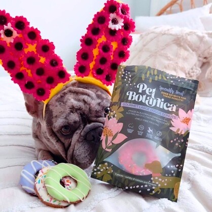 DOGGIE DONUTS - LARGE | 5 PEICES