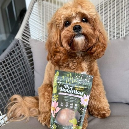 CHICKEN BREAST DOG TREATS | HEALTHY PET TREATS