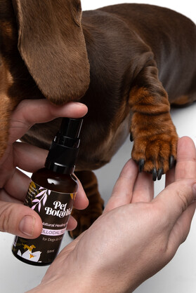 COLLOIDAL SILVER SPRAY FOR DOGS AND CATS