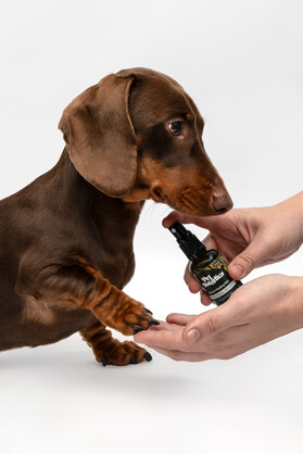 COLLOIDAL SILVER SPRAY FOR DOGS AND CATS