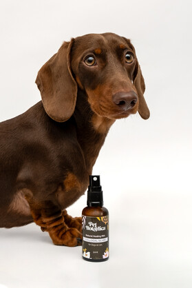 COLLOIDAL SILVER SPRAY FOR DOGS AND CATS