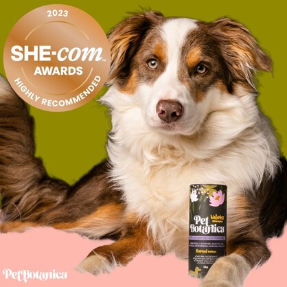 DRY SHAMPOO FOR DOGS - WITH CHARCOAL