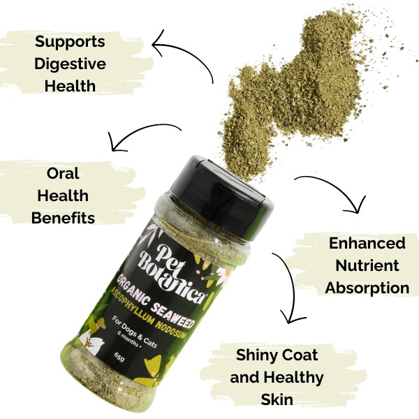 Organic Seaweed Meal Topper for Dogs and Cats - NEW**