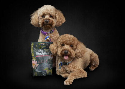 KANGAROO CRISPS DOG TREATS