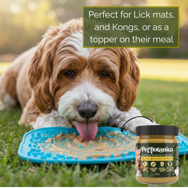 Dental Balance Spread | Dog Dental Support - Functional Enrichment Spread made in Australia with Human grade Ingredients
