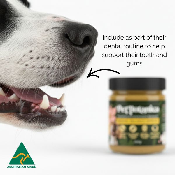 Dental Balance Spread | Dog Dental Support - Functional Enrichment Spread made in Australia with Human grade Ingredients