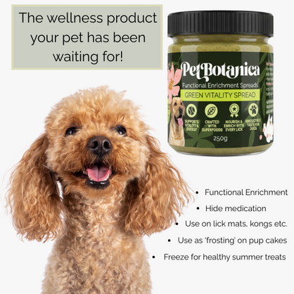 Green Vitality Spread for Dogs | Functional Enrichment for Dogs - Super Greens