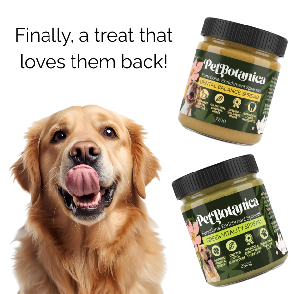 Green Vitality Spread for Dogs | Functional Enrichment for Dogs - Super Greens