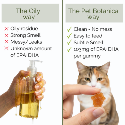 Omega-3 Fish Oil Gummies for Dogs and Cats (Beef Bone Broth) | Skin & Coat | Joints | Heart & Brain Support.