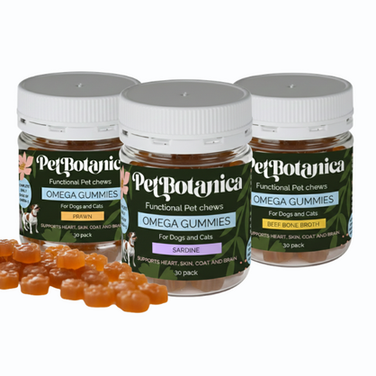 Omega-3 Fish Oil Gummies for Dogs and Cats (Beef Bone Broth) | Skin & Coat | Joints | Heart & Brain Support.