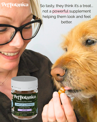 Omega-3 Fish Oil Gummies for Dogs and Cats (Beef Bone Broth) | Skin & Coat | Joints | Heart & Brain Support.