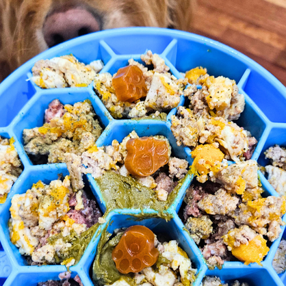 Omega-3 Fish Oil Gummies for Dogs and Cats (Beef Bone Broth) | Skin & Coat | Joints | Heart & Brain Support.