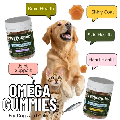 Omega-3 Fish Oil Gummies for Dogs & Cats | Omega Supplement | Skin & Coat Care | Joint Support | Heart & Brain Support - Australian-made
