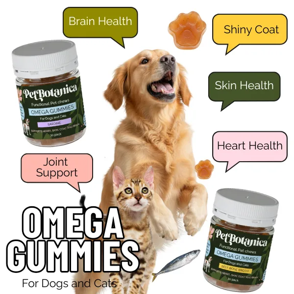 Omega-3 Fish Oil Gummies for Dogs & Cats | Omega Supplement | Skin & Coat Care | Joint Support | Heart & Brain Support - Australian-made