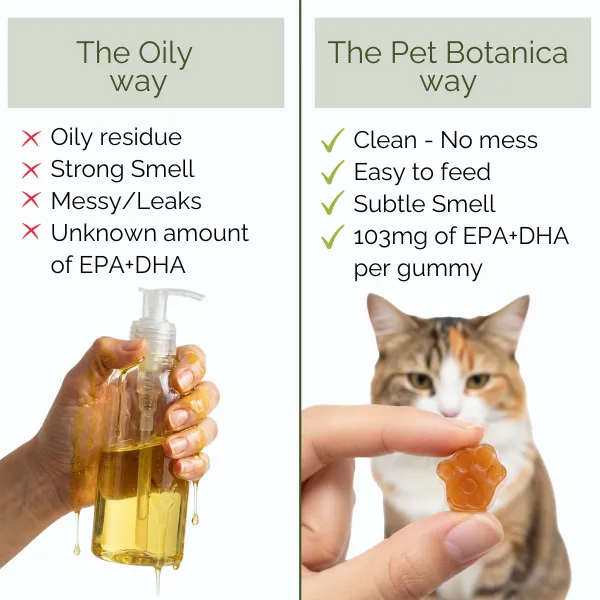 Omega-3 Fish Oil Gummies for Dogs & Cats | Omega Supplement | Skin & Coat Care | Joint Support | Heart & Brain Support - Australian-made