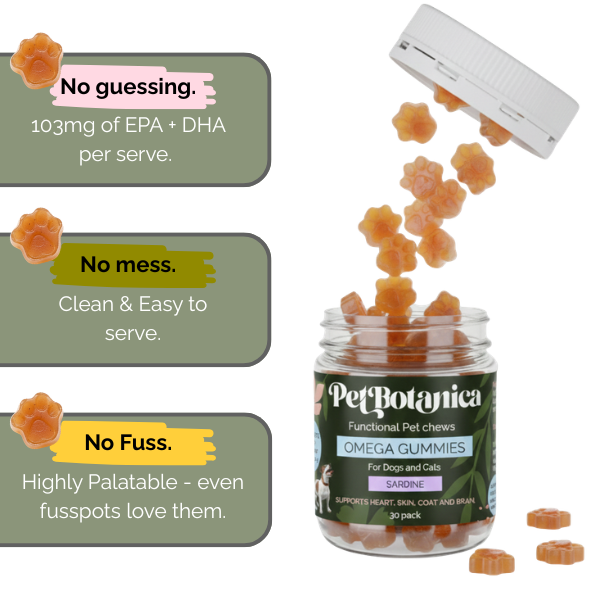 Omega-3 Fish Oil Gummies for Dogs & Cats | Omega Supplement | Skin & Coat Care | Joint Support | Heart & Brain Support - Australian-made