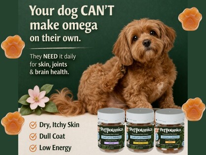 Omega-3 Fish Oil Gummies for Dogs & Cats | Omega Supplement | Skin & Coat Care | Joint Support | Heart & Brain Support - Australian-made