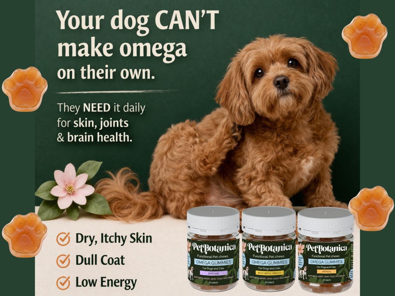 Omega-3 Fish Oil Gummies for Dogs & Cats | Omega Supplement | Skin & Coat Care | Joint Support | Heart & Brain Support - Australian-made