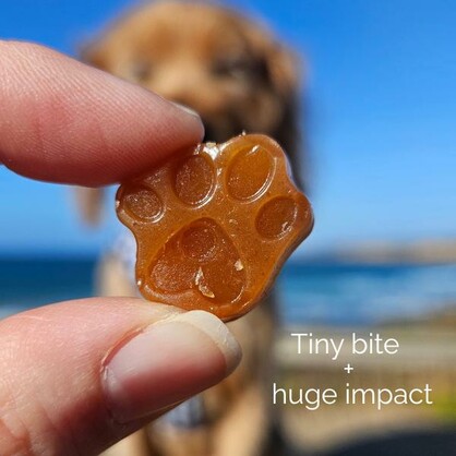 Omega-3 Fish Oil Gummies for Dogs & Cats | Omega Supplement | Skin & Coat Care | Joint Support | Heart & Brain Support - Australian-made