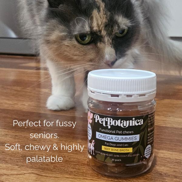 Omega-3 Fish Oil Gummies for Dogs & Cats | Omega Supplement | Skin & Coat Care | Joint Support | Heart & Brain Support - Australian-made