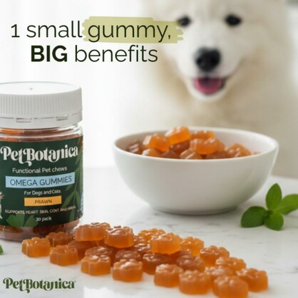 Omega-3 Fish Oil Gummies for Dogs & Cats | Omega Supplement | Skin & Coat Care | Joint Support | Heart & Brain Support - Australian-made