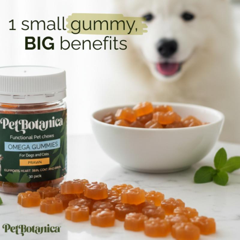 Omega-3 Fish Oil Gummies for Dogs & Cats | Omega Supplement | Skin & Coat Care | Joint Support | Heart & Brain Support - Australian-made