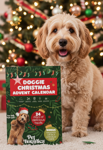 Pet Botanica - Christmas Gifts for Dogs | Pet Gifts