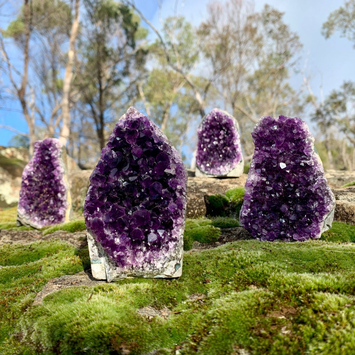 Wholesale AMETHYST CLUSTER TOWER Tulmur Holdings Pty Ltd Fieldfolio