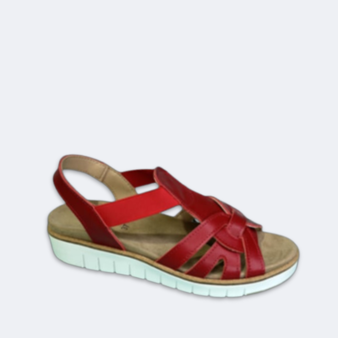 ACO - ALIVIA - 1215/11075 - $75