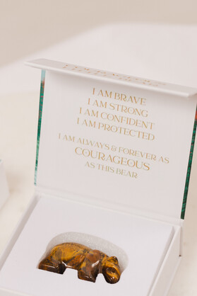 Courageous Tigers Eye Bear