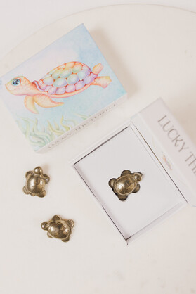 Lucky the Turtle