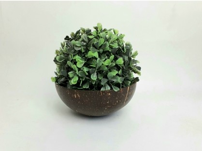 COCOBOWL - Coconut food grade & multipurpose bowl
