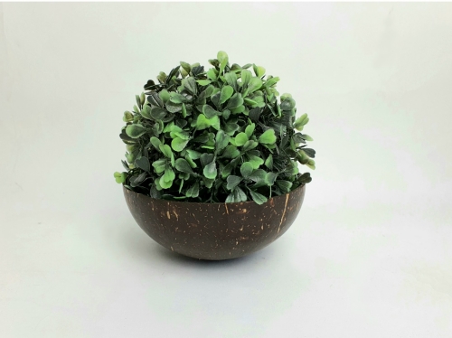 COCOBOWL - Coconut food grade & multipurpose bowl