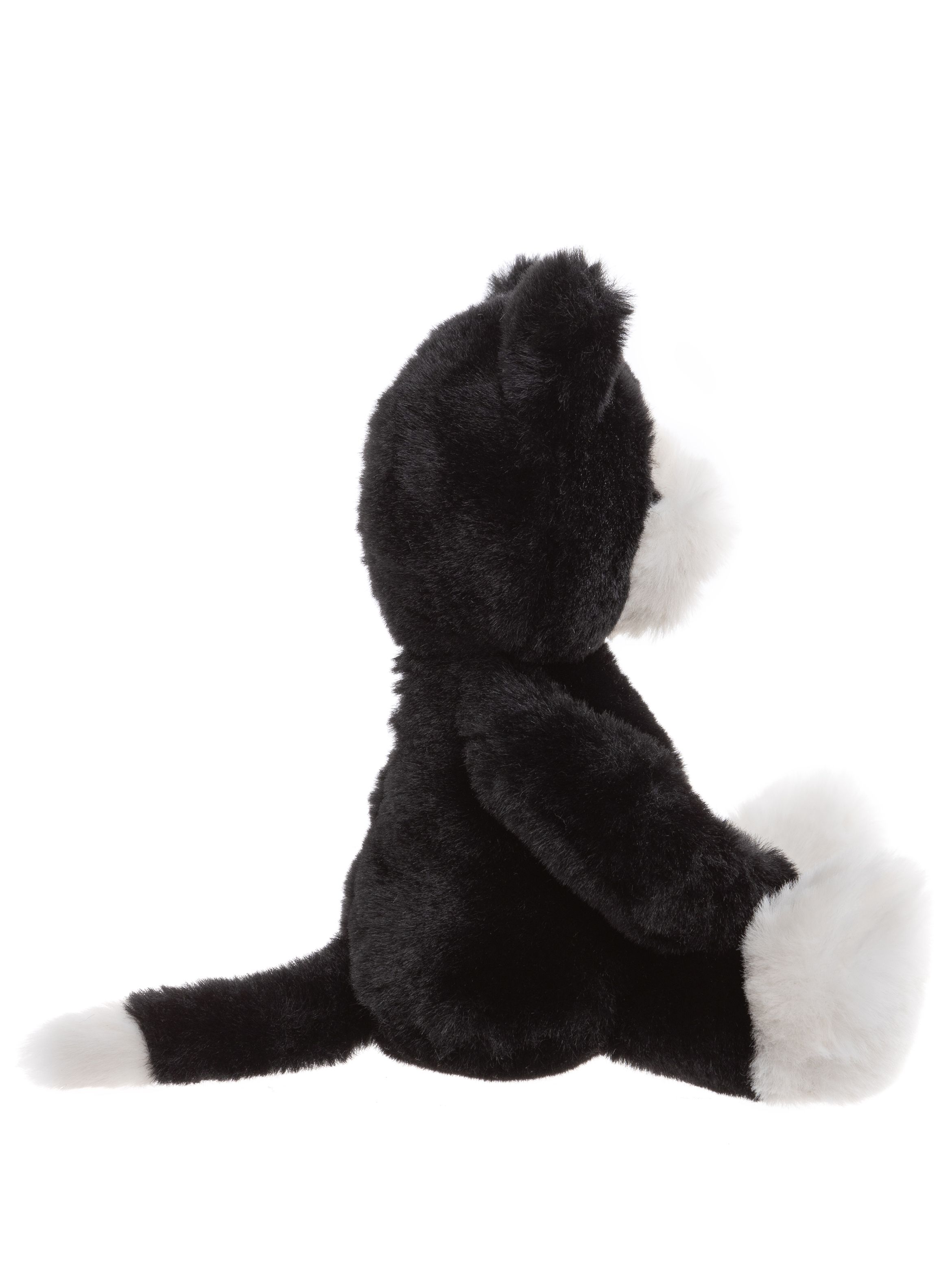 Puddy Kitten Black