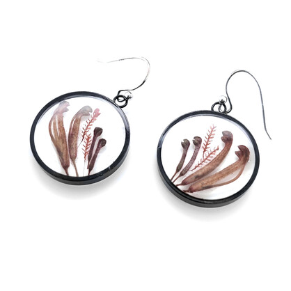 BOTANIGEM Graceful Grevillea Earrings