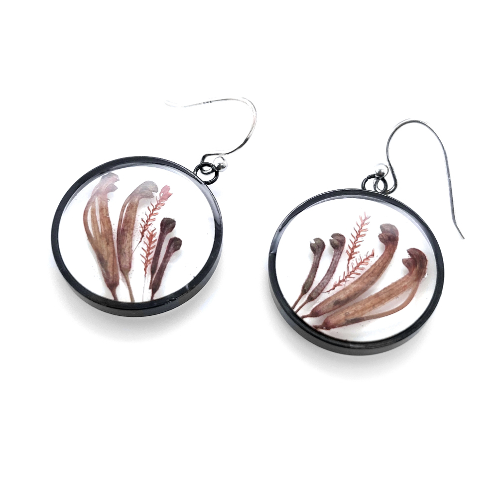 BOTANIGEM Graceful Grevillea Earrings
