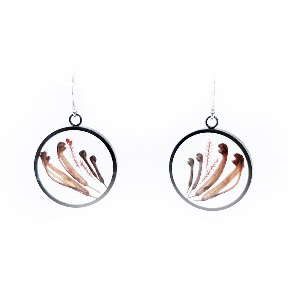 BOTANIGEM Graceful Grevillea Earrings